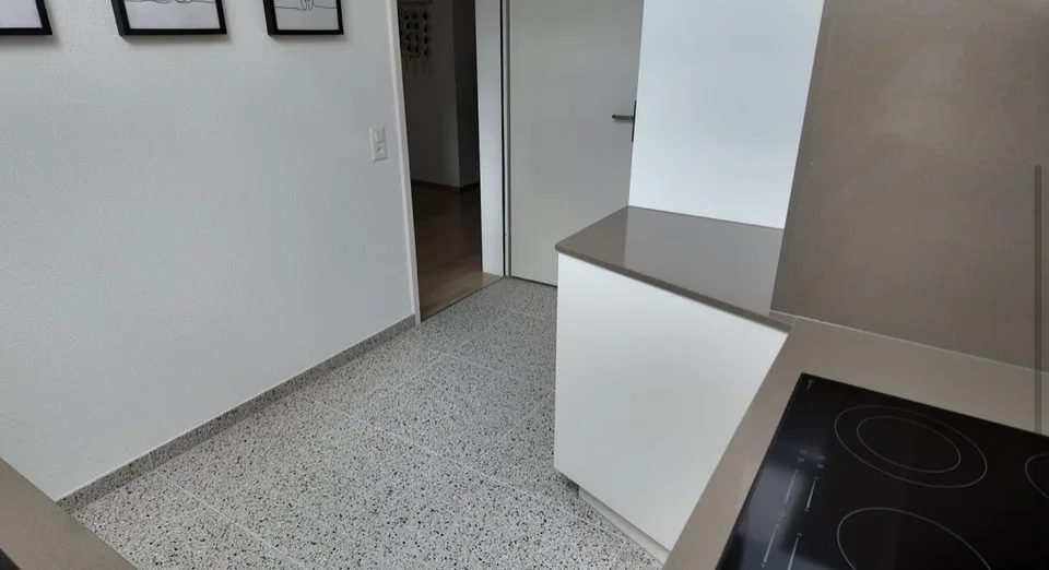 helle 2 1/2 Zimmer-Wohnung mit Balkon und Chminee