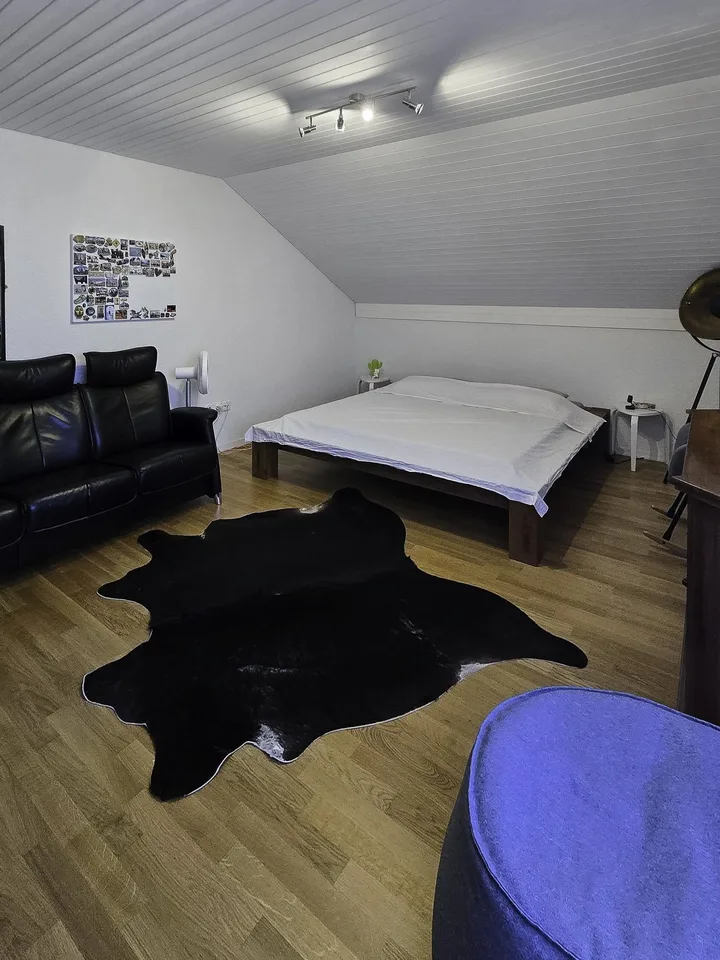 Charmante 3.5-Zimmer-Dachwohnung mit Balkon in Waldegg b. Uitikon