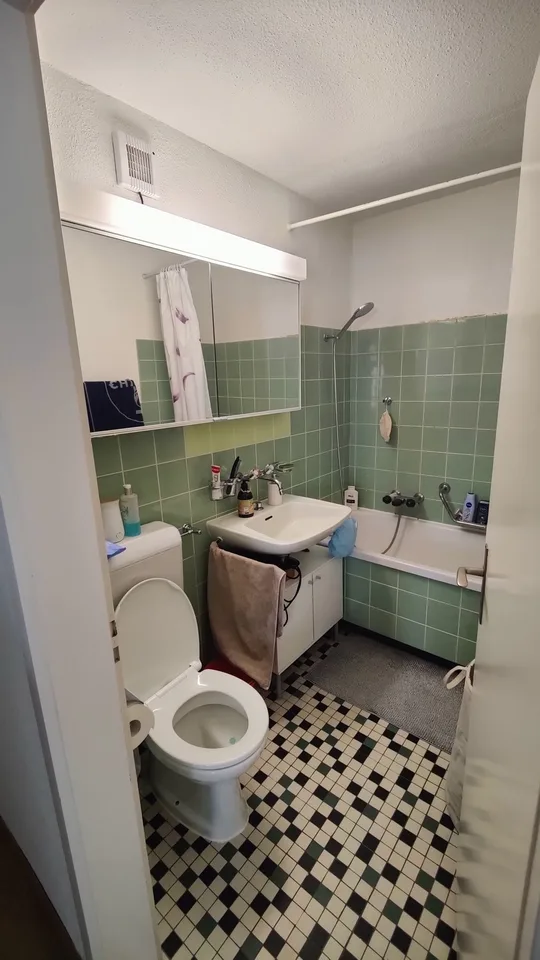 3.5 room apartment in Wallisellen