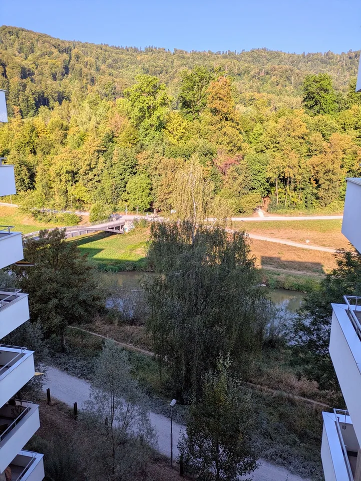WG-Zimmer in moderner 3.5-Zimmer-Wohnung mit Sihlblick 🌿🚴‍♂️