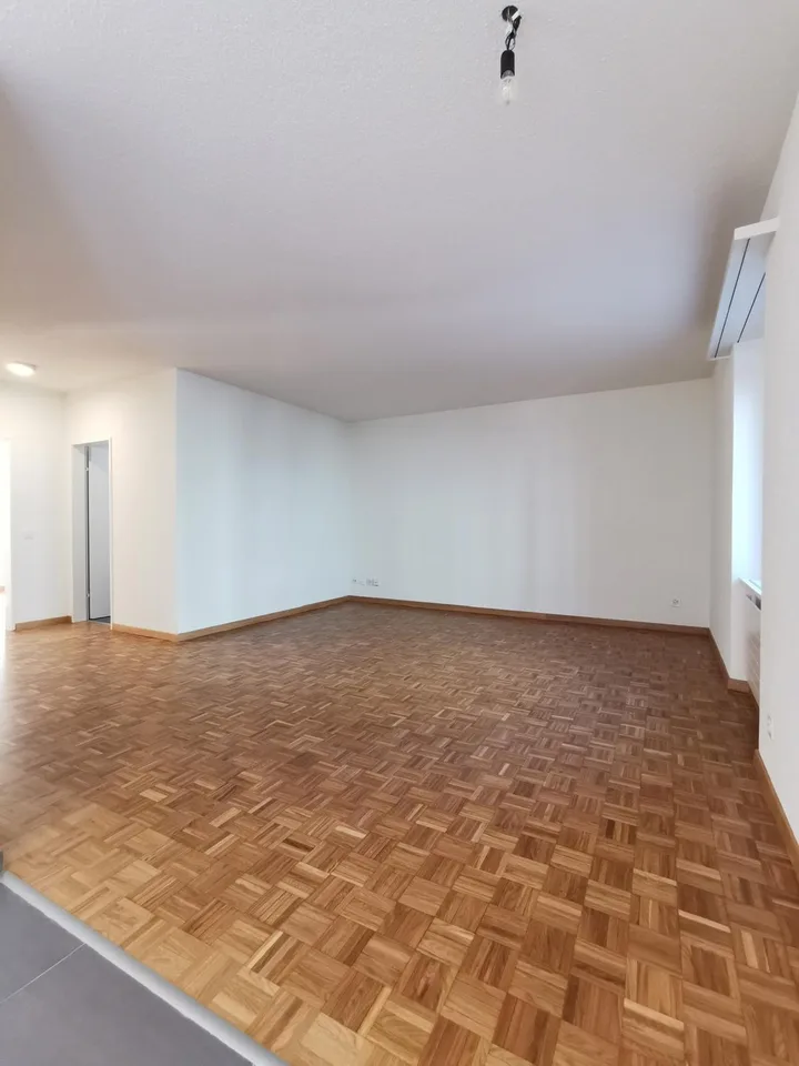 Frisch sanierte luxuriöse WG-Zimmer in Zürichs pulsierendem Herzen