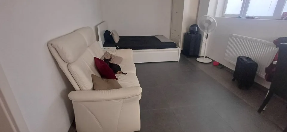 Wohnung Wohlen AG