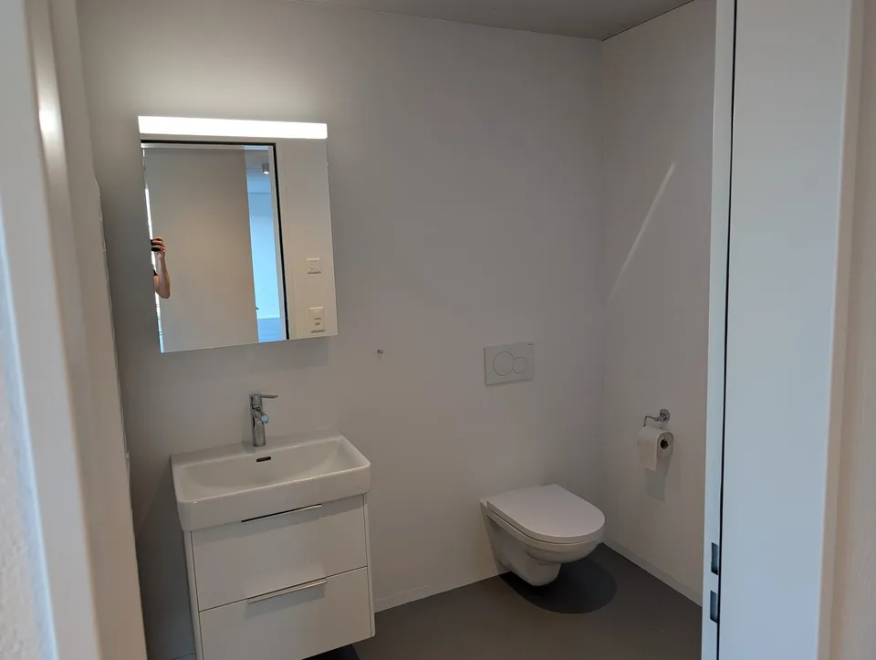 2 ½ rooms, Minergie attic flat in a clam street in Zürich Altstetten