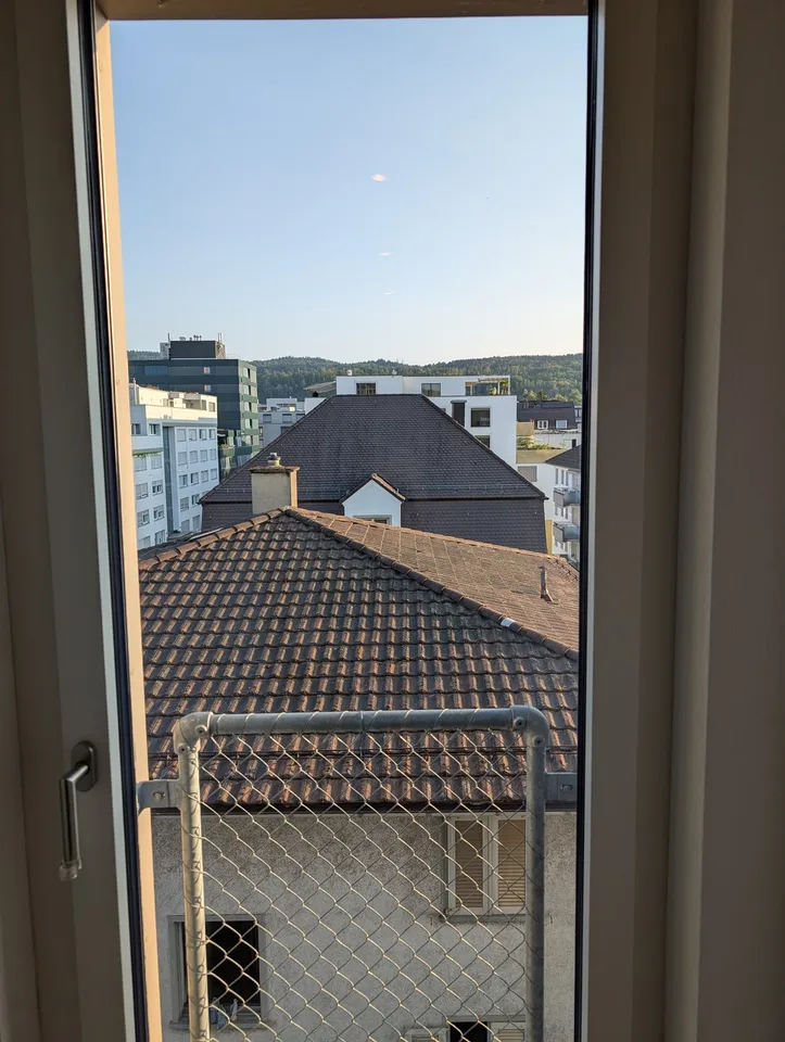 2 ½ rooms, Minergie attic flat in a clam street in Zürich Altstetten