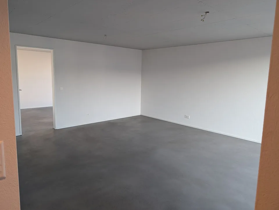 2 ½ rooms, Minergie attic flat in a clam street in Zürich Altstetten