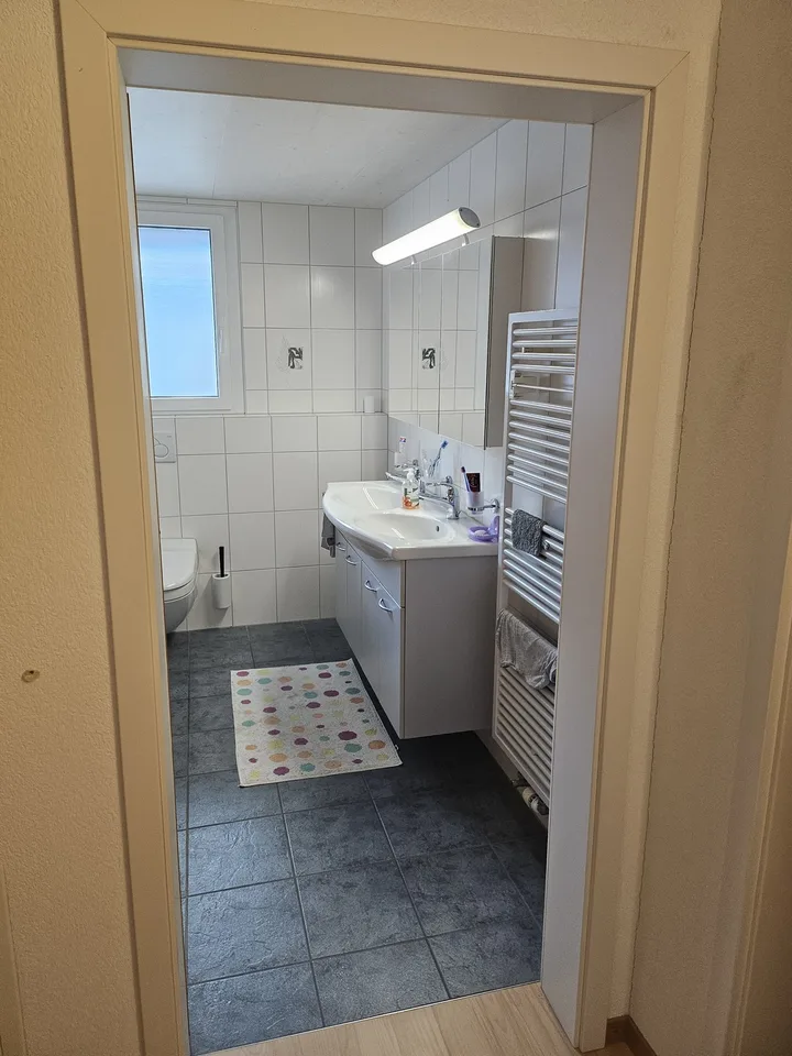 WG Zimmer in Freienbach