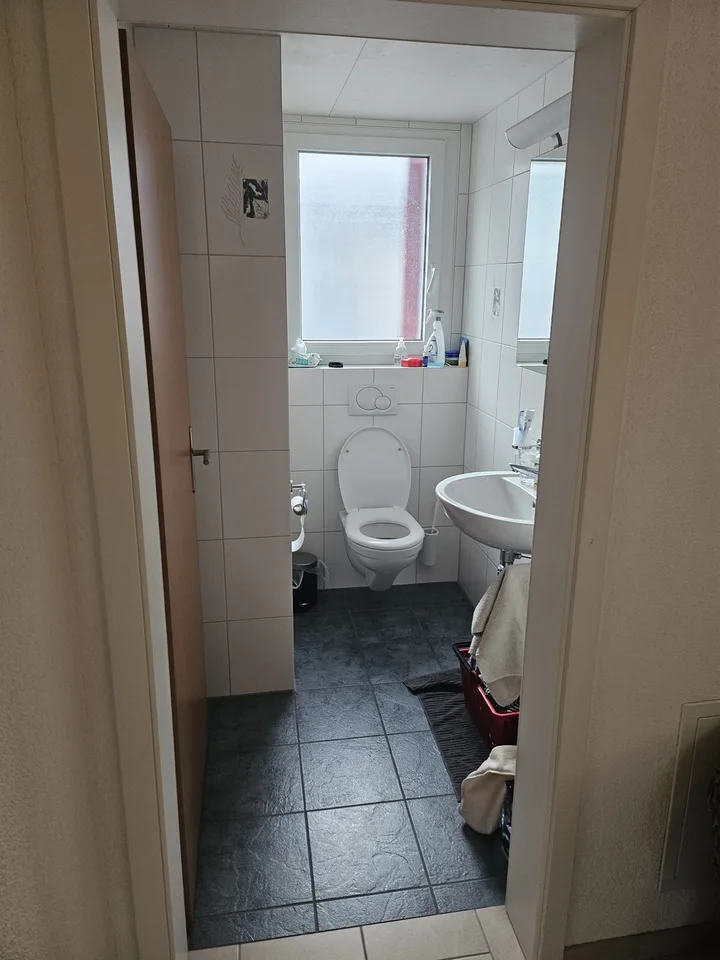 WG Zimmer in Freienbach