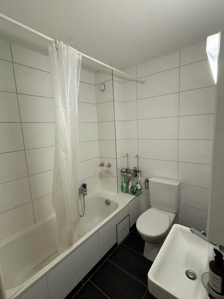 1.5-Room Og.5 Rooftop Apartment with Terrace in Basel