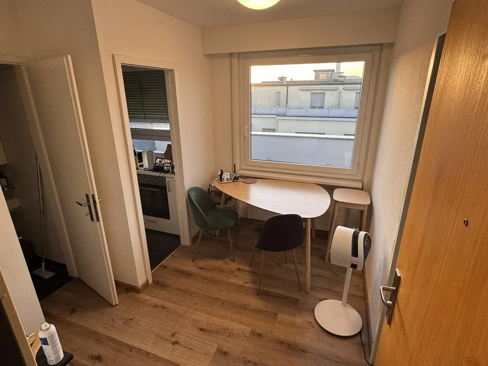 1.5-Room Og.5 Rooftop Apartment with Terrace in Basel