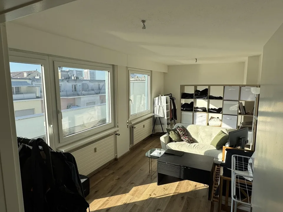 1.5-Room Og.5 Rooftop Apartment with Terrace in Basel