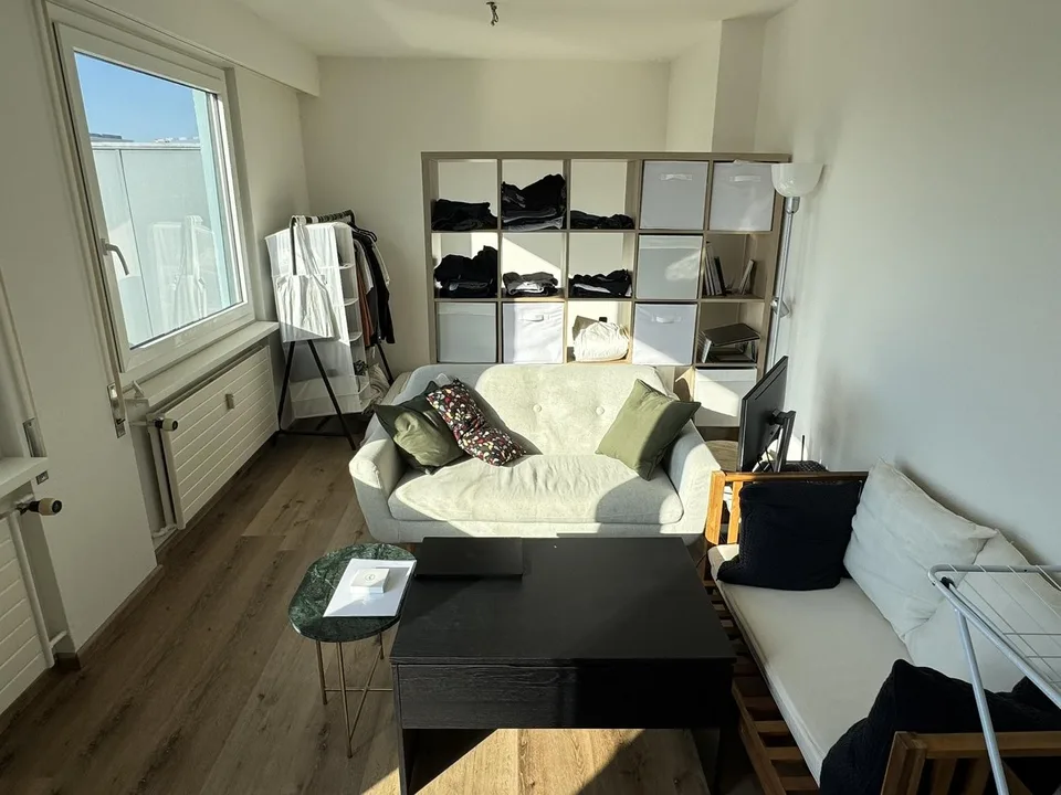1.5-Room Og.5 Rooftop Apartment with Terrace in Basel
