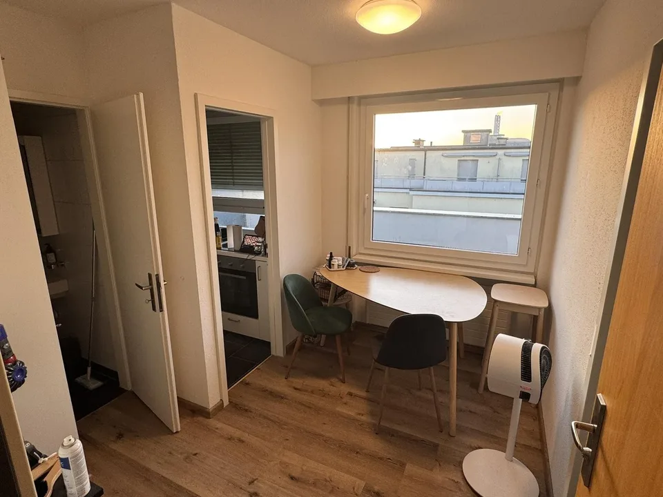 1.5-Room Og.5 Rooftop Apartment with Terrace in Basel