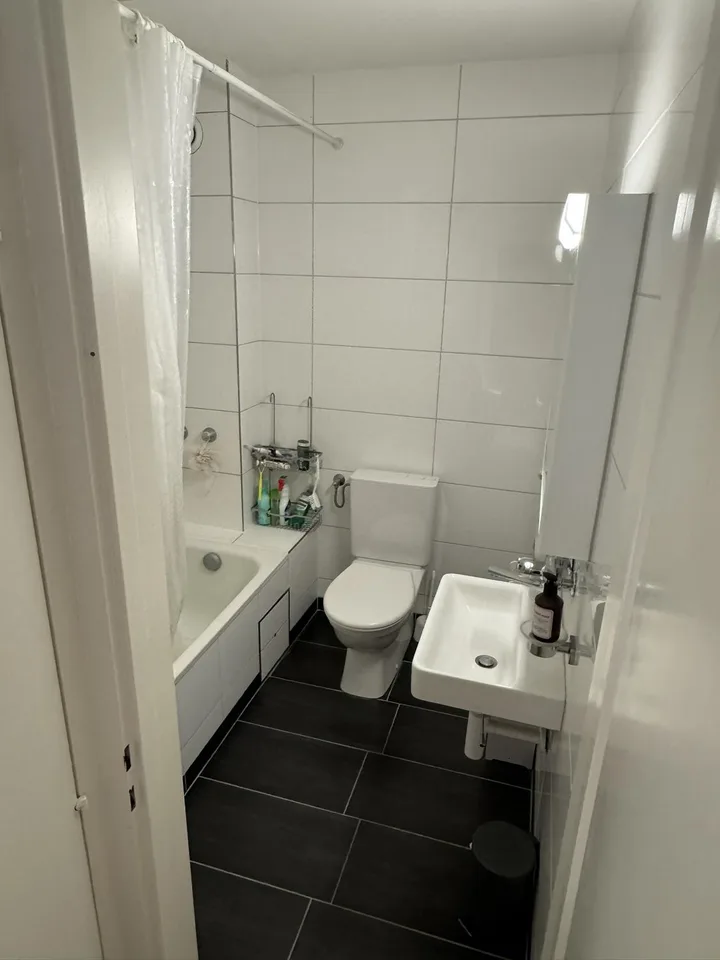 1.5-Room Og.5 Rooftop Apartment with Terrace in Basel
