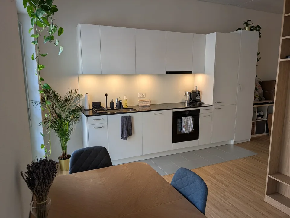 1.5 Zimmer Wohnung zur Untermiete in Aarau