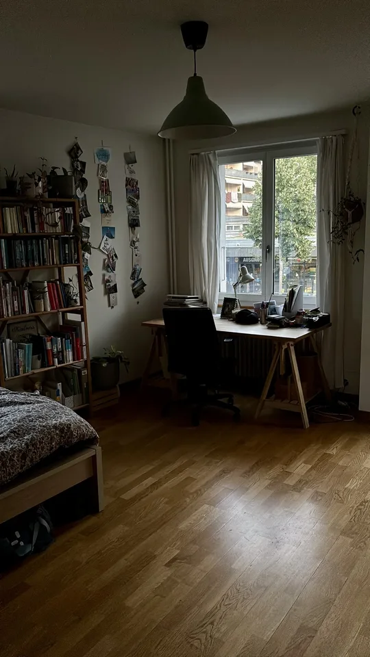 WG-Zimmer möbliert 20m2 3008 Bern (Oktober bis Januar)