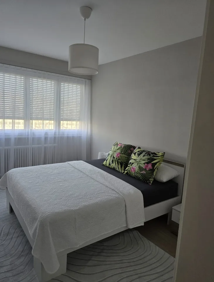 REPRISE DE BAIL Furnished apartment in Meyrin