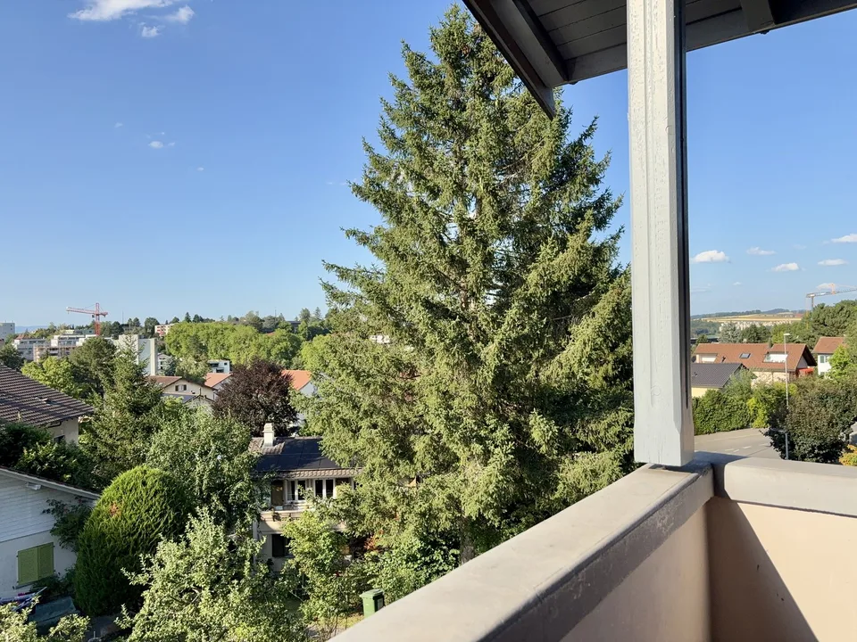 Parc Guintzet: Maison 2 appartements / Haus mit Garten