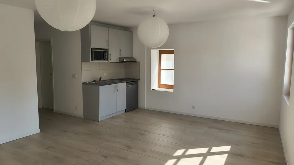 Großes Studio von 40 m2 renoviert und hell in Grand-Lancy