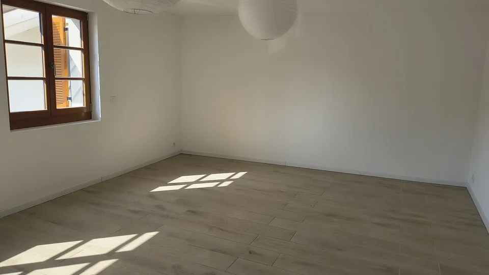 Großes Studio von 40 m2 renoviert und hell in Grand-Lancy