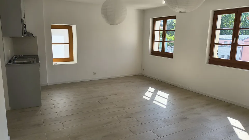 Grand studio de 40 m2 rénové et lumineux à Grand-Lancy