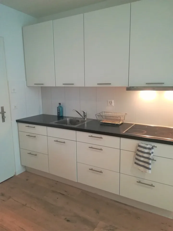 HELLER & GROSSZÜGIGE 1.5-ZIMMER-WOHNUNG DIREKT AM FARBHOF
