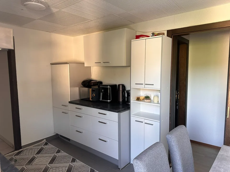 Charmante 3.5-Zimmer-Dachwohnung in Nebikon