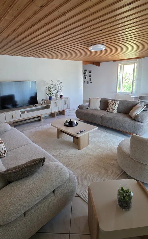 Charmante 3.5-Zimmer-Dachwohnung in Nebikon