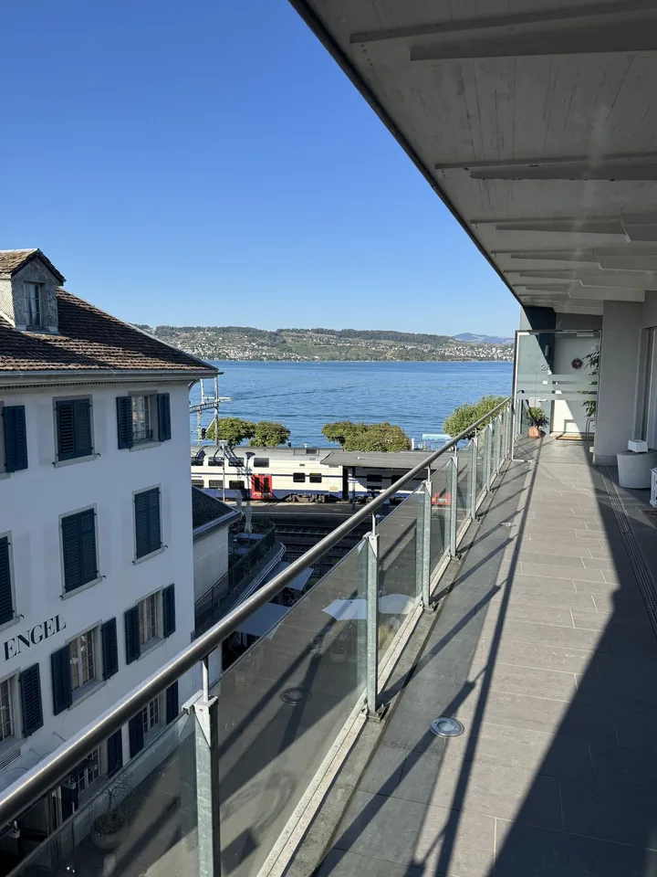 Heller, moderner Wohnraum an zentraler Lage in Wädenswil