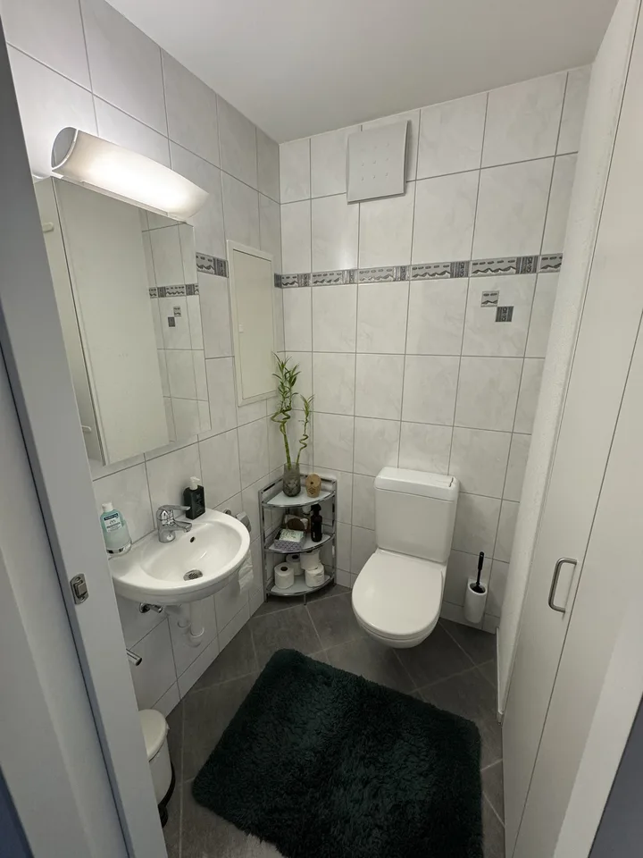 Heller, moderner Wohnraum an zentraler Lage in Wädenswil