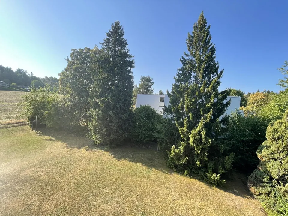 Bright 3.5-room apartment with balcony in Zollikerberg