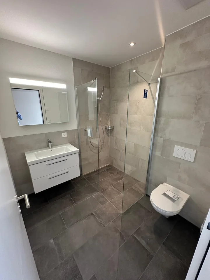 Birmensdorferstrasse 565, 8055 Zurich - CHF 3’440 inkl. NK pro Monat