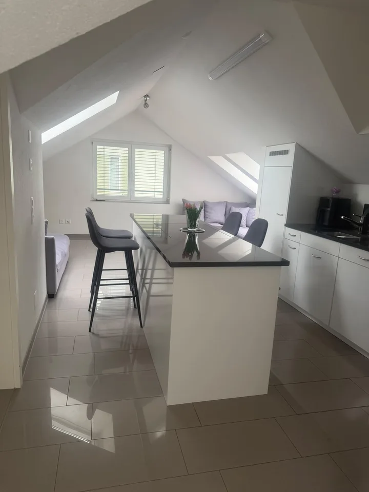 Helle 3.5-Zimmer-Dachwohnung in St. Gallen / Bright 3.5-Room Attic Apartment in St. Gallen