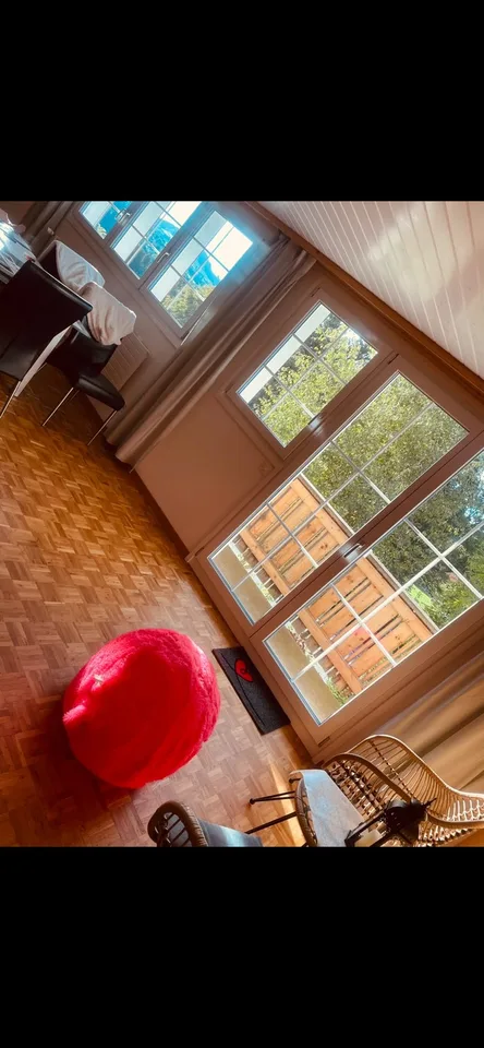 Grosszügige 3.5-Zimmerwohnung mit Balkon, Sitzplatz & 2 Parkplätzen in Trogen AR