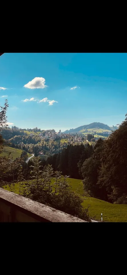 Grosszügige 3.5-Zimmerwohnung mit Balkon, Sitzplatz & 2 Parkplätzen in Trogen AR