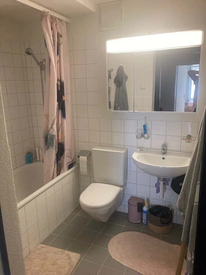 Appartement lumineux, situé au centre, près de la gare de Wipkingen