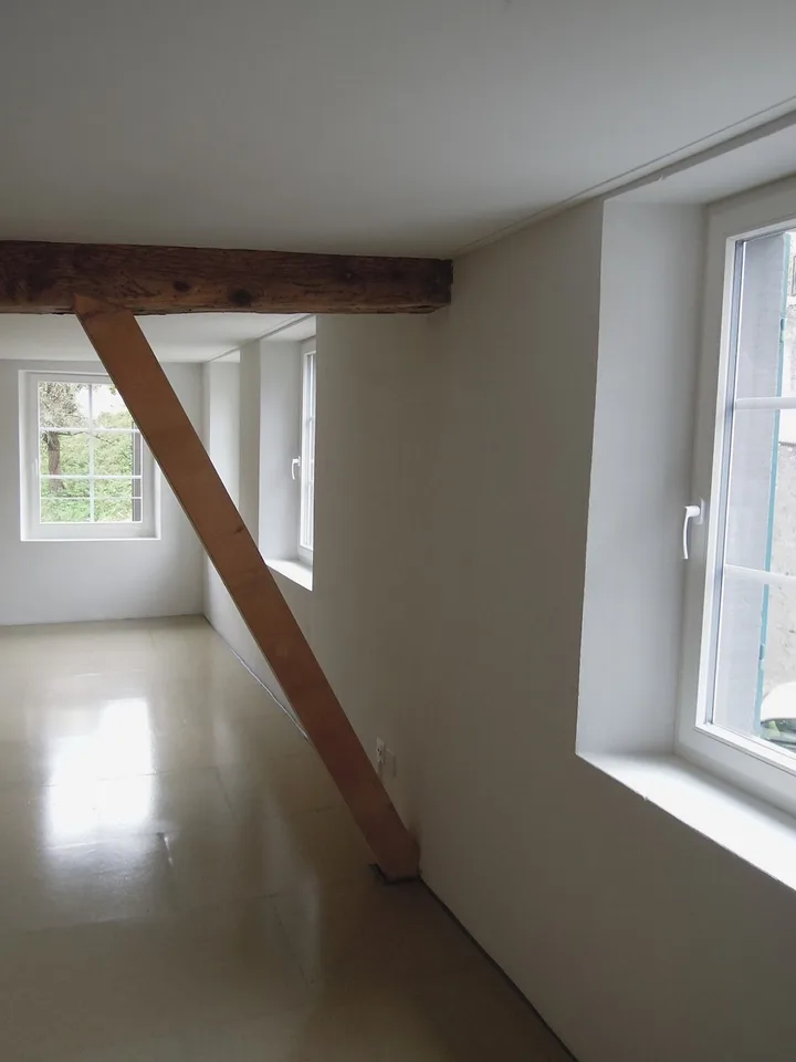 Wohnung in historischer Minergie Mühle