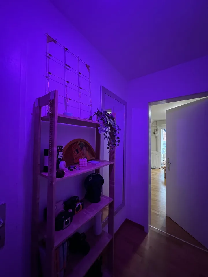 Looking for a 3rd Flatmate! Top Floor Attic Room with Private Bath, Balcony & Private Entrance