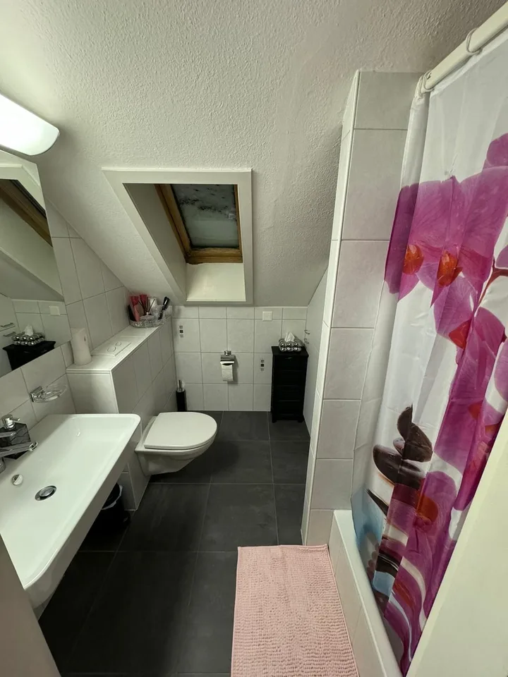 Looking for a 3rd Flatmate! Top Floor Attic Room with Private Bath, Balcony & Private Entrance