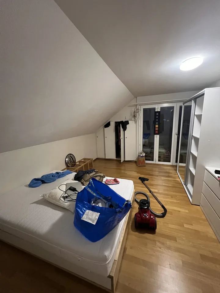 Looking for a 3rd Flatmate! Top Floor Attic Room with Private Bath, Balcony & Private Entrance