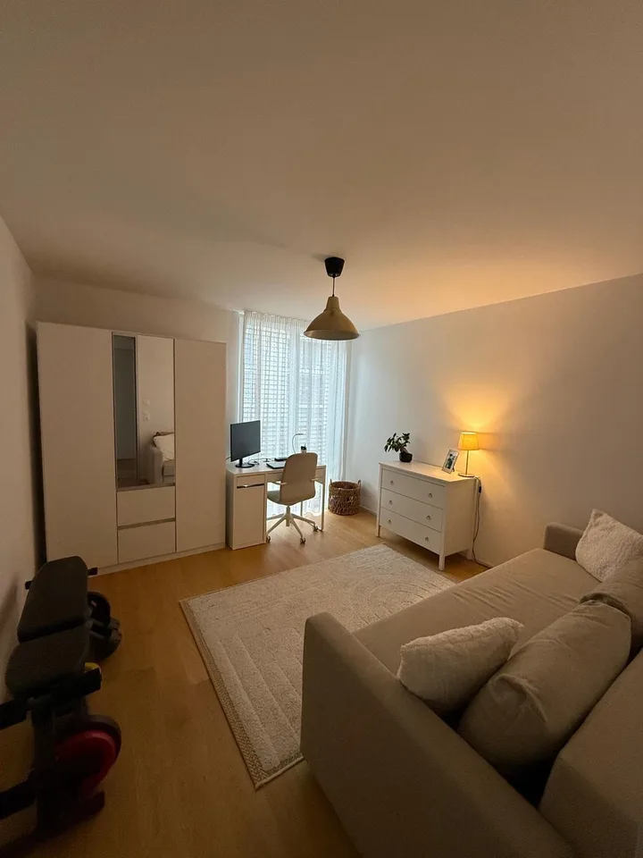 Beautiful 3.5 room apartment in Leimbach - book your spot at the viewing using the link in the description