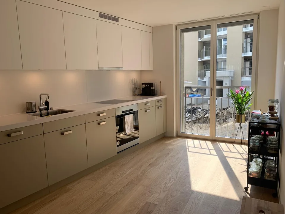 Beautiful 3.5 room apartment in Leimbach - book your spot at the viewing using the link in the description