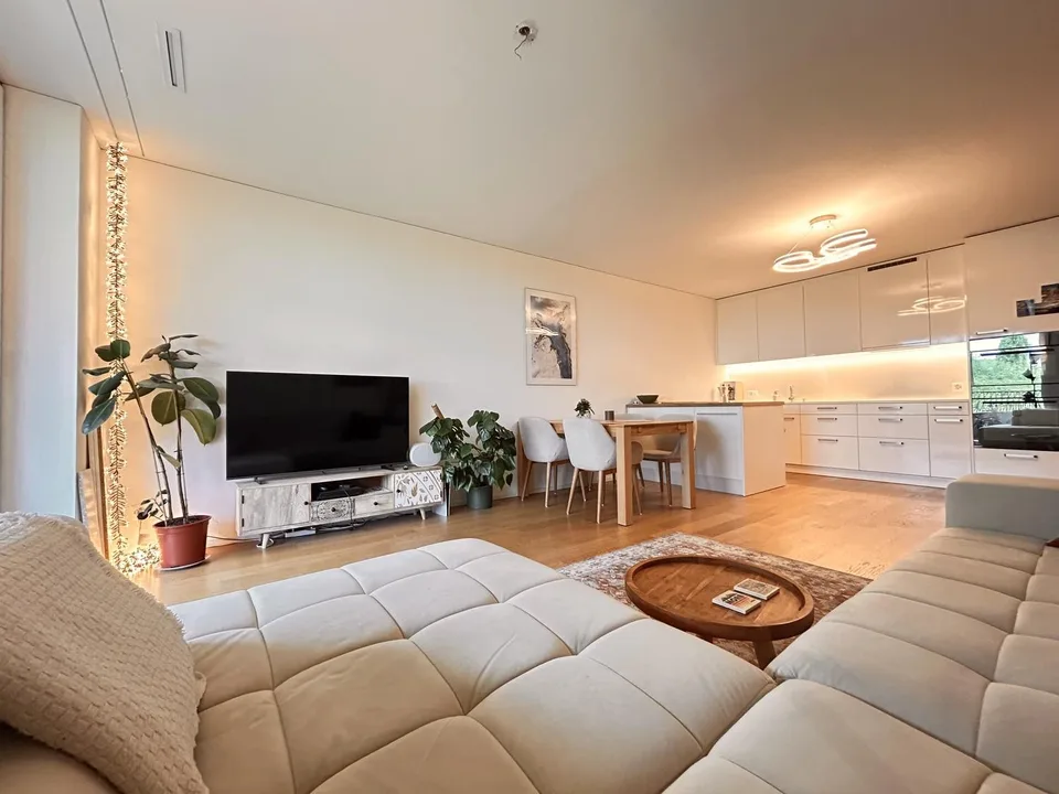 Modern apartment in Greencity