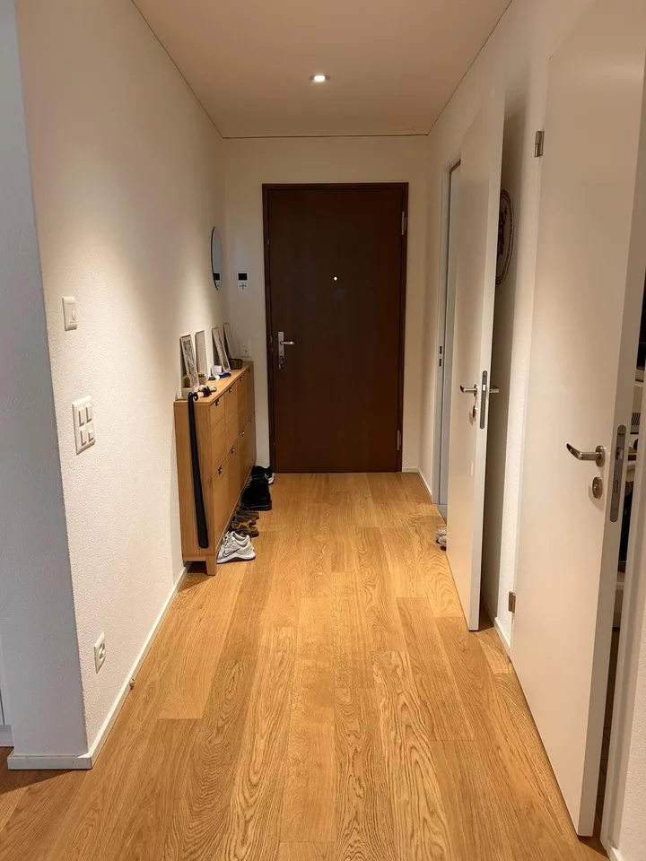 Modern apartment in Greencity