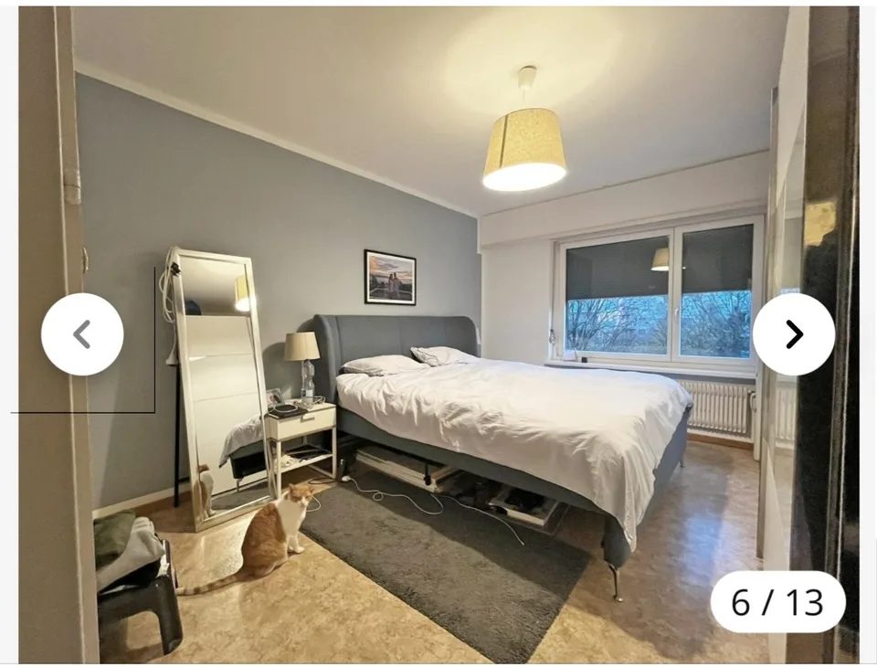 Helle 4 Zimmer-Wohnung mit Balkon in Bülach