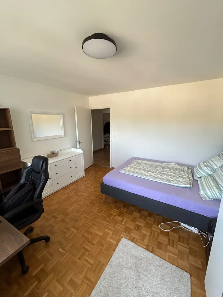 Sublet available: 17m2 room in Zurich