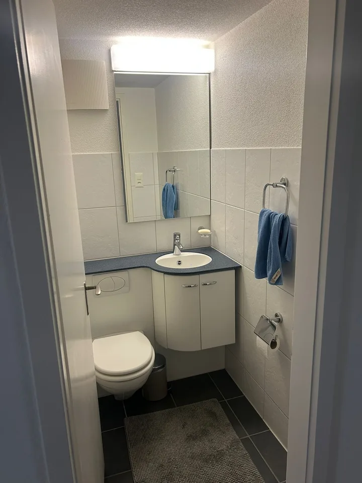 Sublet available: 17m2 room in Zurich