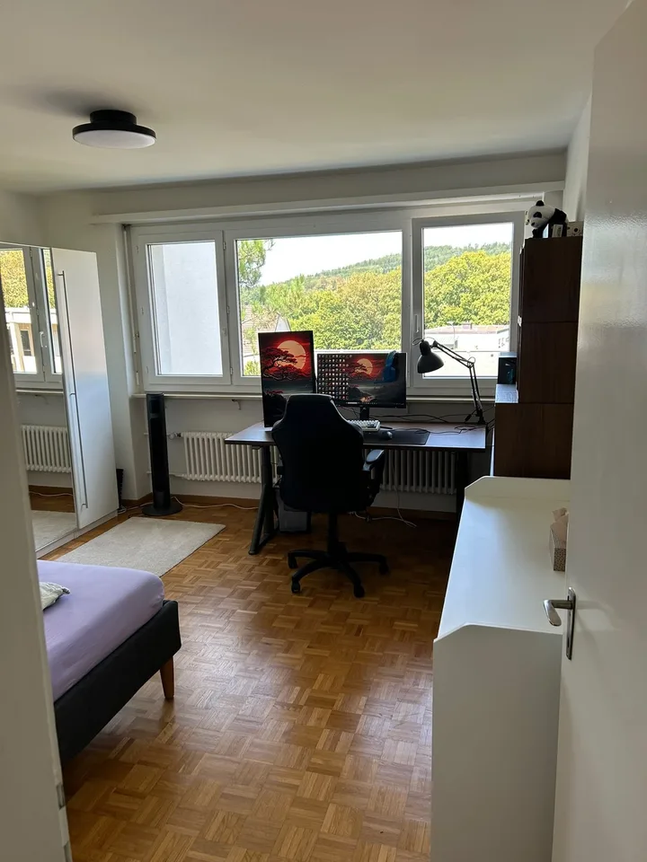 Sublet available: 17m2 room in Zurich