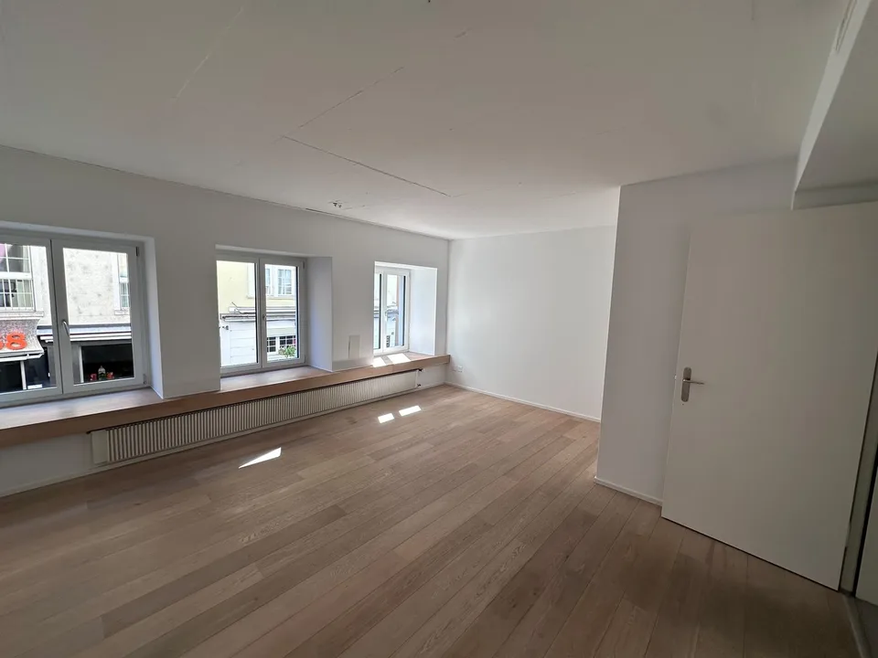 Charmant studio dans le meilleur emplacement de la vieille ville de Zurich sans cuisine