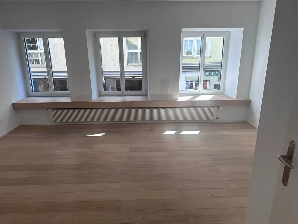 Charmant studio dans le meilleur emplacement de la vieille ville de Zurich sans cuisine