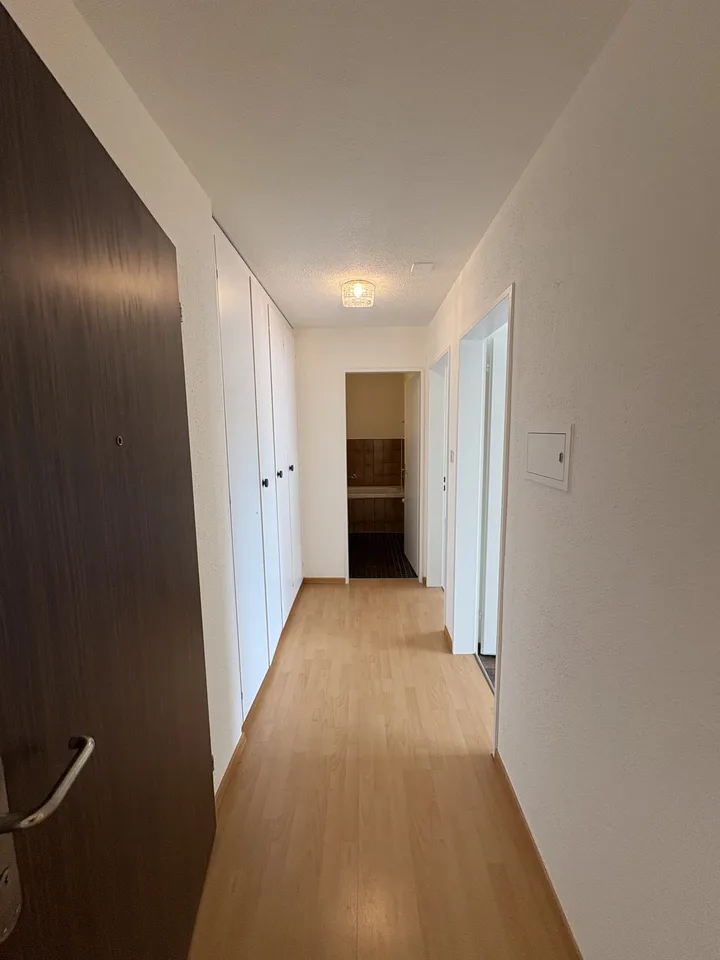 Grosses WG-Zimmer in 3er WG in Dietikon